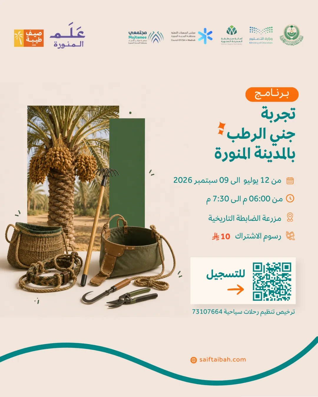 تجربة جني الرطب بالمدينة المنورة  